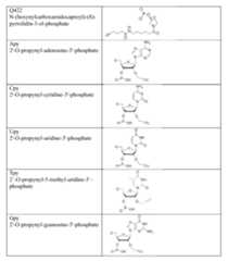 Figure imgf000097_0001