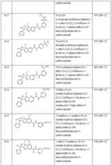 Figure imgf000088_0001