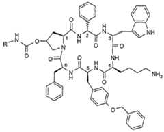 Figure imgf000004_0001