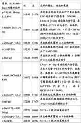 Figure BDA0001349734580001491