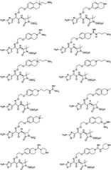 Figure GPA0000290633380000131