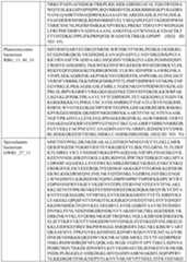 Figure imgf000494_0001