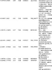 Figure BPA00001280678301761