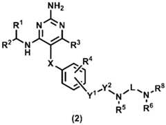 Figure 0007169968000020