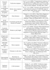 Figure PCTCN2022090268-appb-000018