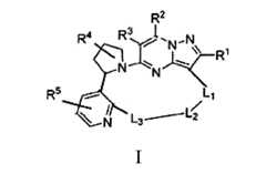 Figure 108122091-A0305-02-0072-1