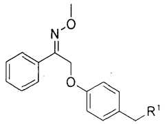 Figure imgf000066_0002