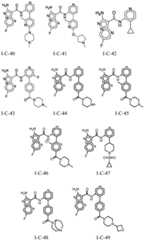 Figure BDA0001412716210005021