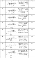 Figure GPA0000263212130000911