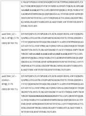 Figure imgf000091_0001