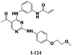 Figure BDA0001453135130001992