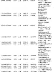 Figure BPA00001280678303131