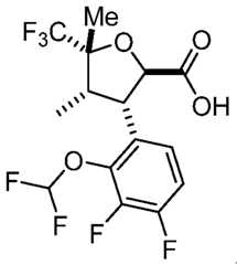 Figure imgf000010_0002