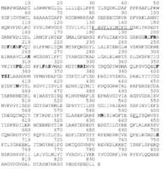 Figure BDA0001494797660000801