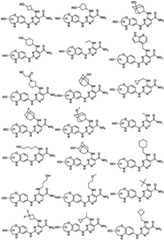 Figure FDA0003855853530000081