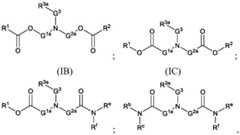 Figure FDA0004131559930000022