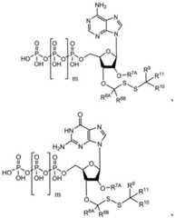 Figure BDA0003670511740003322