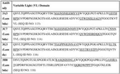 Figure imgf000015_0002