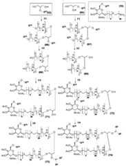 Figure BDA0002550837380000461