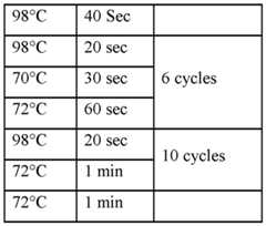 Figure imgf000046_0001