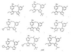 Figure imgf000032_0001