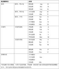 Figure BDA0003164346480001031