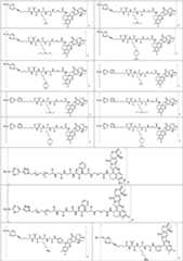 Figure PCTCN2022073822-appb-100121