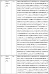 Figure imgf000116_0001