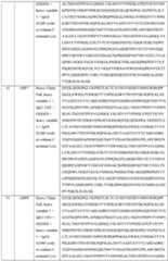 Figure imgf000102_0001