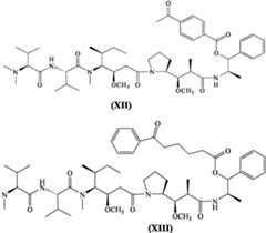 Figure imgf000019_0001