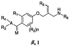 Figure GDA0002182553300000021