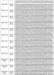 Figure imgf000127_0001