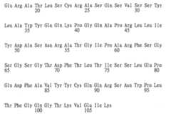 Figure 106123980-A0202-12-0144-133