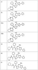 Figure FDA0003465902320000161