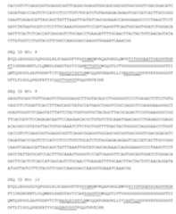 Figure imgf000199_0001