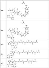 Figure BDA0002268634580003101