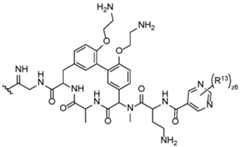 Figure imgf000127_0001