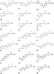 Figure GDA0002182553300000161