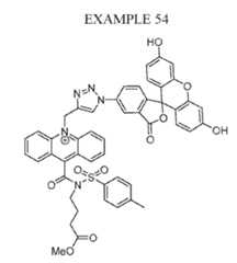 Figure imgf000098_0002