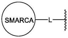 Figure BDA0003783300830000652