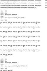 Figure imgb0082