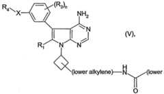 Figure imgf000021_0001