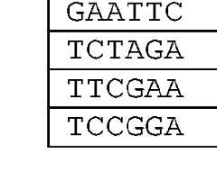 Figure imgf000035_0003