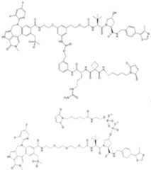 Figure imgf000597_0001