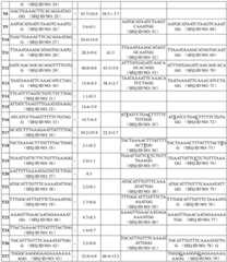 Figure BDA0003117691830000951