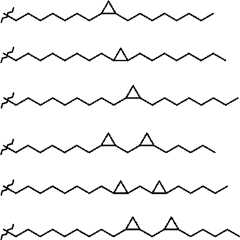 Figure JPOXMLDOC01-appb-C000029