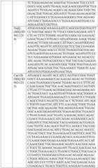 Figure BDA0004033970230006431