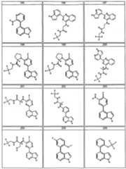 Figure imgf000046_0001