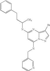 Figure US07119200-20061010-C04892