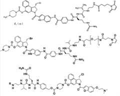 Figure G2007800504656D01291